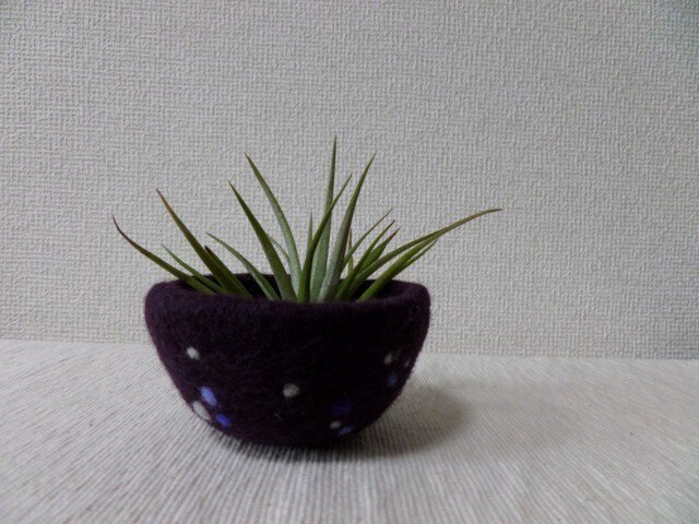 【Sale】羊毛フェルトの小さな小物入れ/エアプランツホルダーの画像1枚目