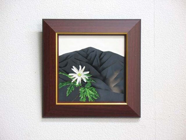 大山・キクザキイチゲの画像1枚目
