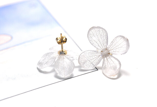 アジサイ【L/オフカラー】4枚花弁のピアス 14kgf /イヤリングの画像1枚目