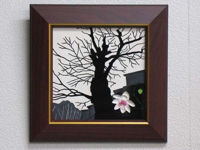 「御岳山・レンゲショウマの画像1枚目