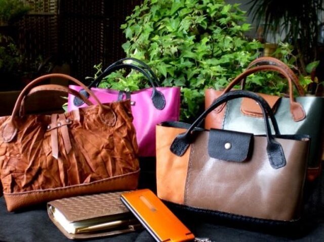 小さな手提げBagの画像1枚目