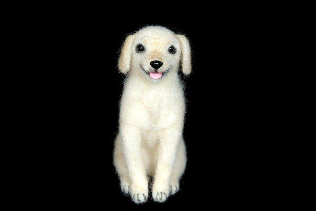 ラブラドールレトリバー 犬 の画像1枚目