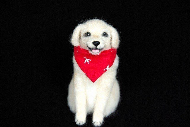 ゴールデンレトリバー 犬の画像1枚目