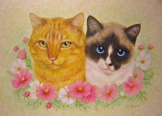 チャロ君とミミちゃん（売約済み）の画像1枚目