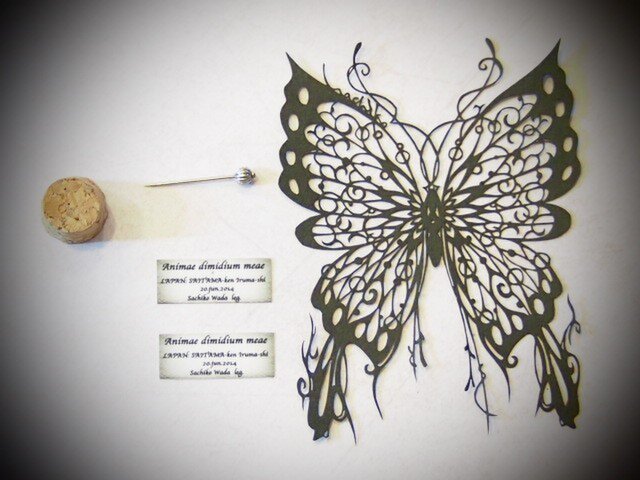 切り絵蝶の標本 N様オーダー品 Iichi ハンドメイド クラフト作品 手仕事品の通販