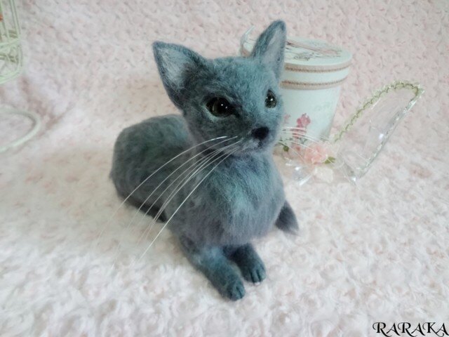 (Y様 御予約済)ロシアンブルーの画像1枚目