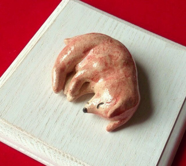 すやすや寝 仔いぬの画像1枚目