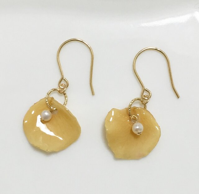 *y様ご注文品*ひとひらピアスの画像1枚目