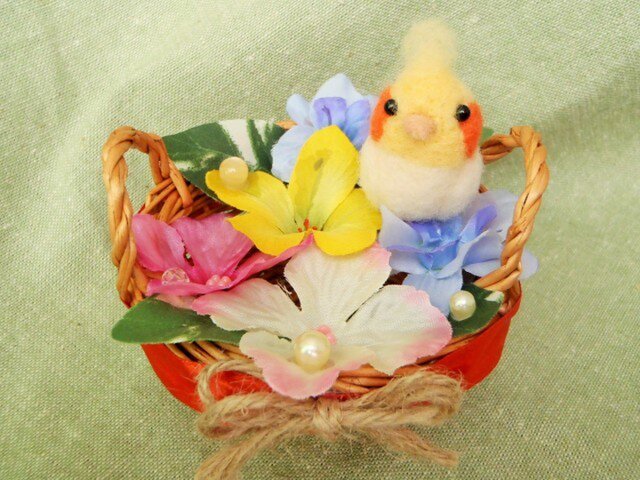 花かごインコの画像1枚目
