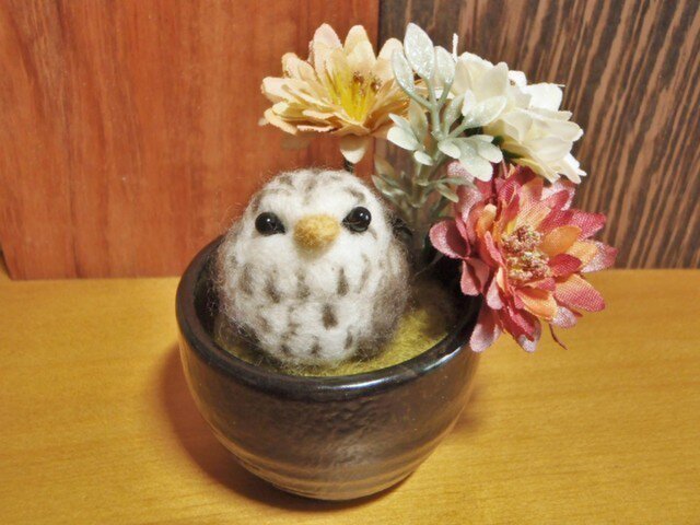 茶華道ふくろうの画像1枚目