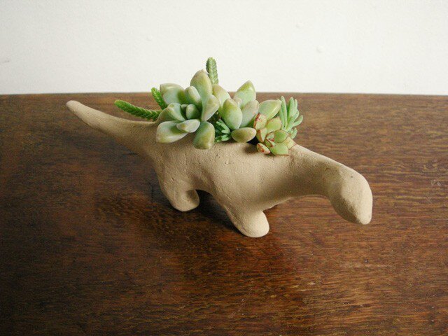恐竜(多肉植物・小)の画像1枚目