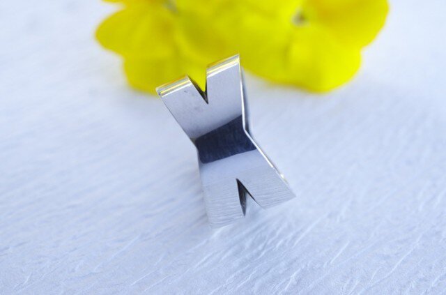 X ringの画像1枚目