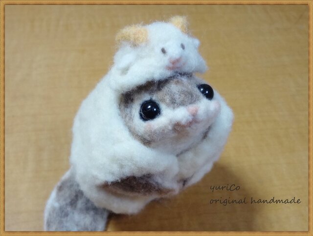 癒しの妖精 momoちゃんの画像1枚目