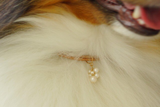K14GF つぶつぶ淡水パールDOGネックレス 迷子札カプセル付の画像1枚目