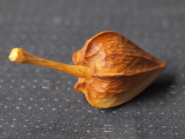 木のほおずき (中)イチイ の画像1枚目