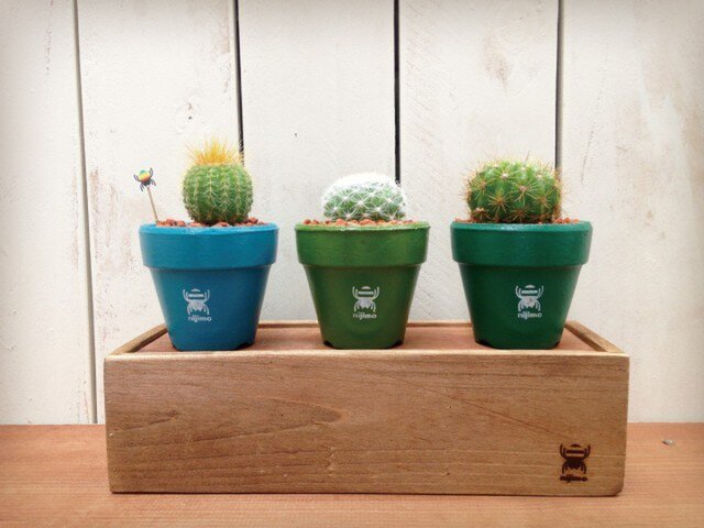 nijimo ミニサボテン木箱セット〈004〉 | iichi 日々の暮らしを