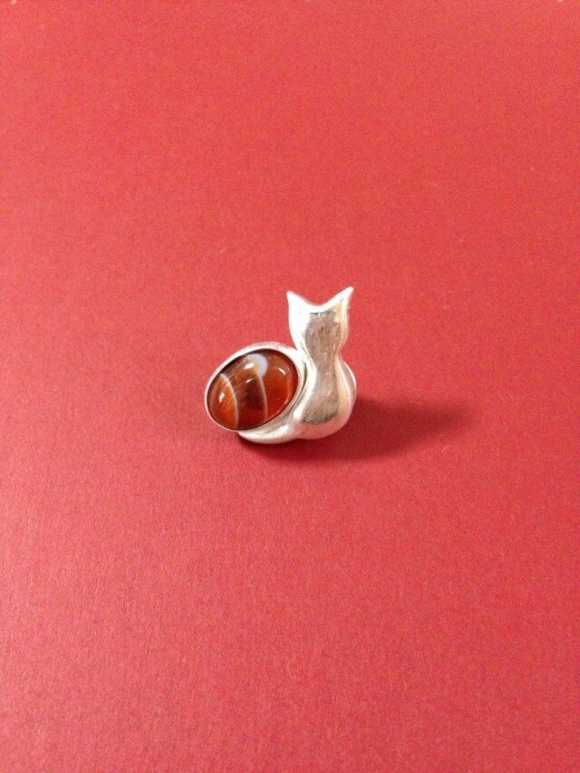 私の猫の画像1枚目