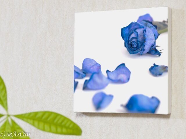 ファブボ「Blue Rose」(L)の画像1枚目