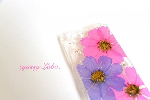 秋桜 No4. SO-02F Xperia Z1Fの画像1枚目