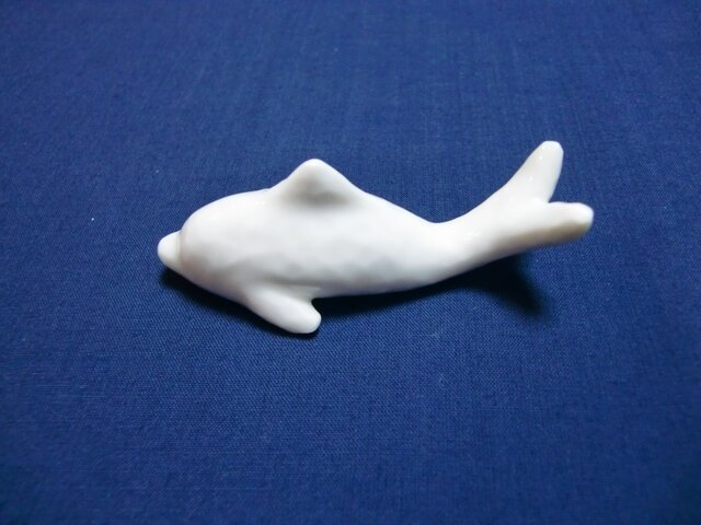 イルカの画像1枚目