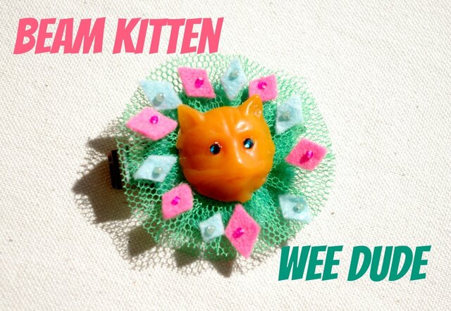 beam kittenの画像1枚目