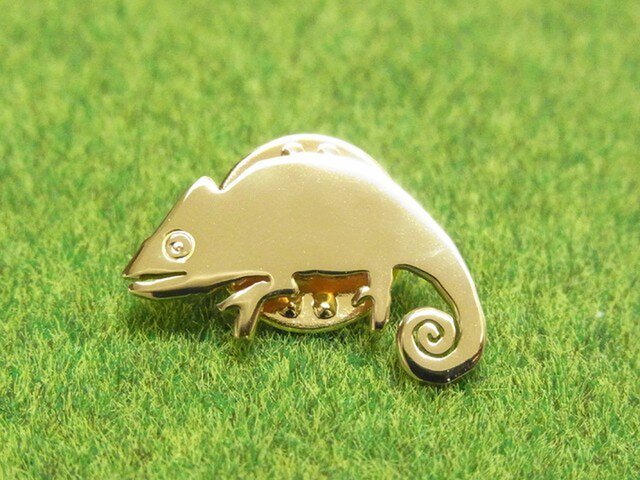 カメレオンpinsの画像1枚目