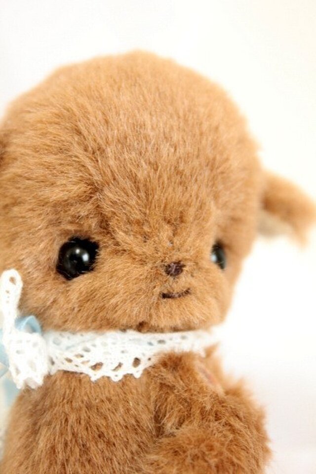 ぬいぐるみ・わんこちゃん≪お子様にも♪≫ | iichi 日々の暮らしを