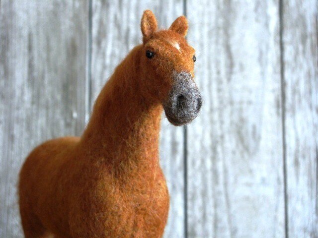 栗毛の馬の画像1枚目