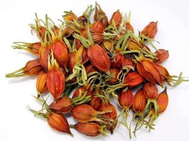 クチナシの実 Iichi ハンドメイド クラフト作品 手仕事品の通販 クチナシの実 Iichi ハンドメイド クラフト作品 手仕事品の通販