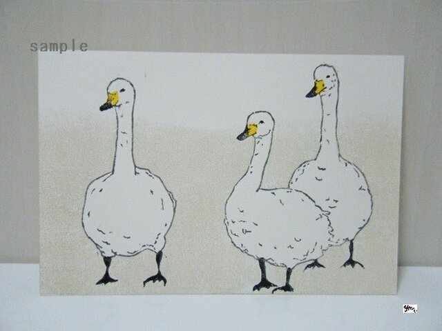 葉書〈swan-1〉の画像1枚目