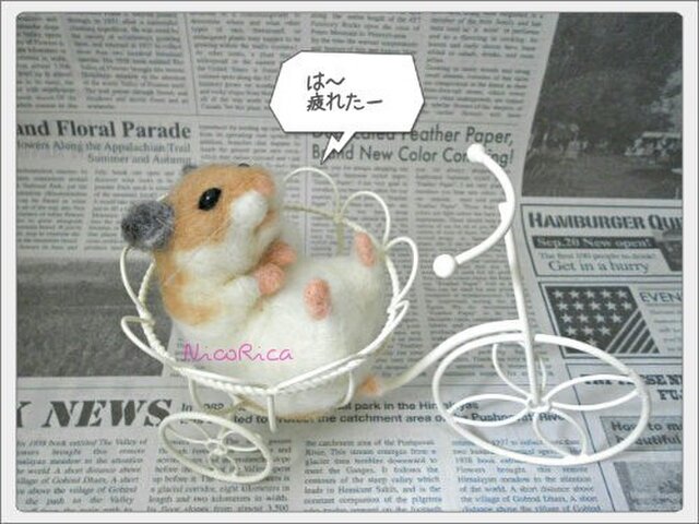 SHUのＩcanシリーズ ハムスター作品 SHUのIcanシリーズ ハムスター作品