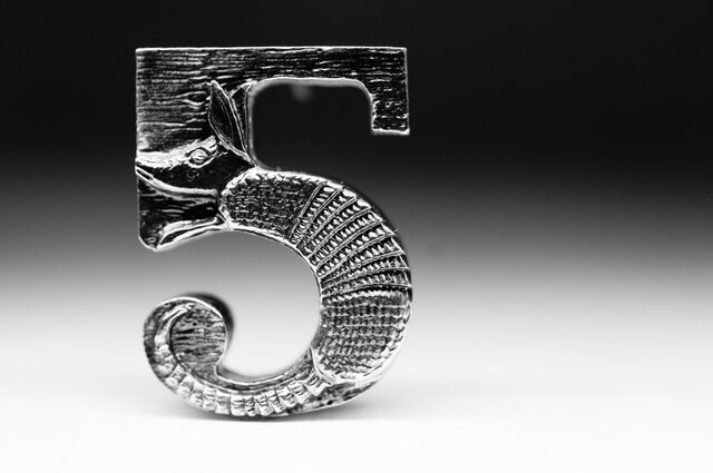 "armadillo"の画像1枚目