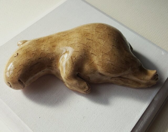 どっしり寝 カピバラの画像1枚目