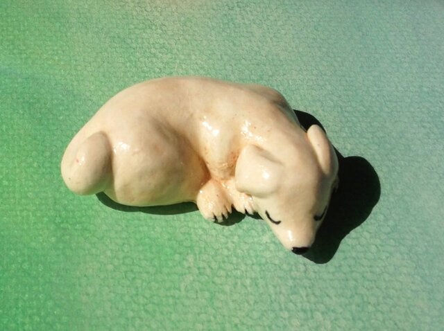 待ってる寝 わんこの画像1枚目