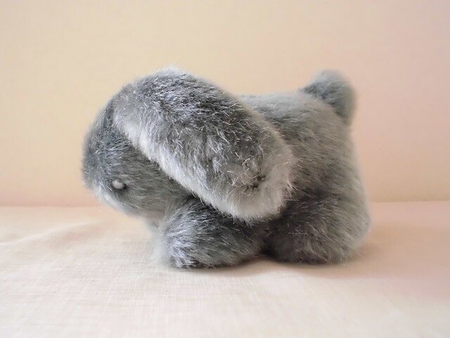 ふわふわグレーのたれ耳うさぎの画像1枚目