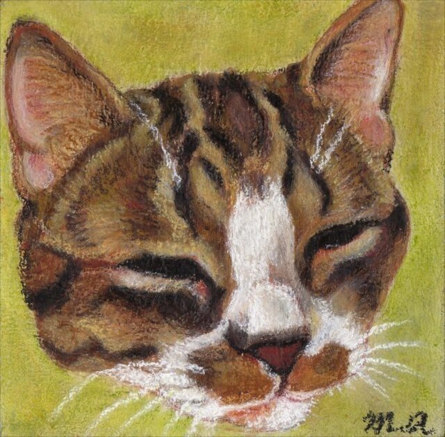 マルコ1号の画像1枚目
