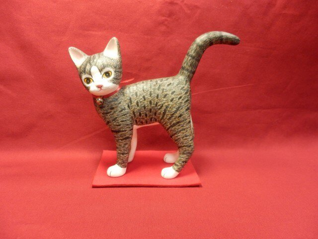 ねこのぴょんちゃんの画像1枚目