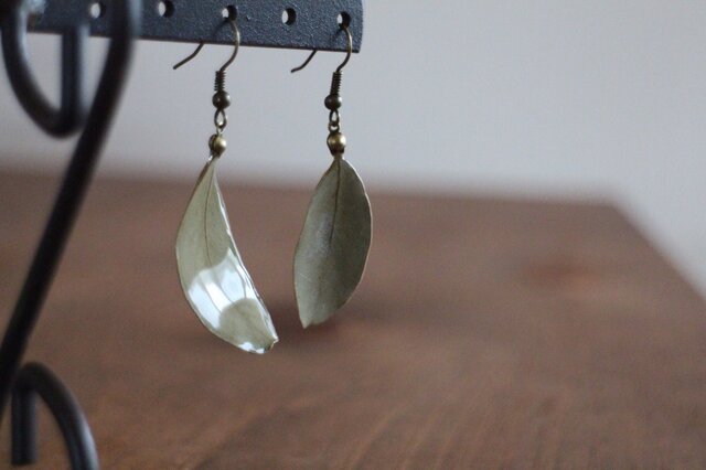 ユーカリ葉っぱのピアス 受注生産の画像1枚目