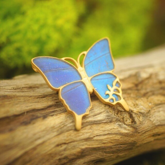 モルフォ蝶の大きなアンティークブローチ | iichi 日々の暮らしを