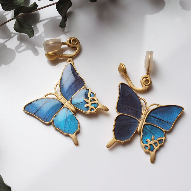 モルフォ蝶の大きなピアス イヤリング | iichi 日々の暮らしを心地よく