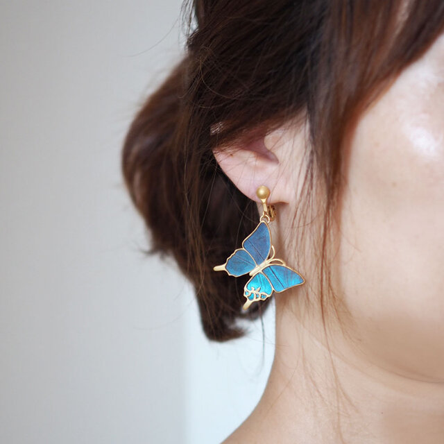 モルフォ蝶の大きなピアス イヤリング | iichi 日々の暮らしを心地よく