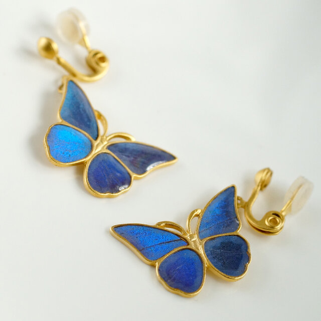 モルフォ蝶のピアス イヤリング | iichi 日々の暮らしを心地よくする