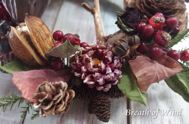 ハスの実と木の実のリース | iichi 日々の暮らしを心地よくする