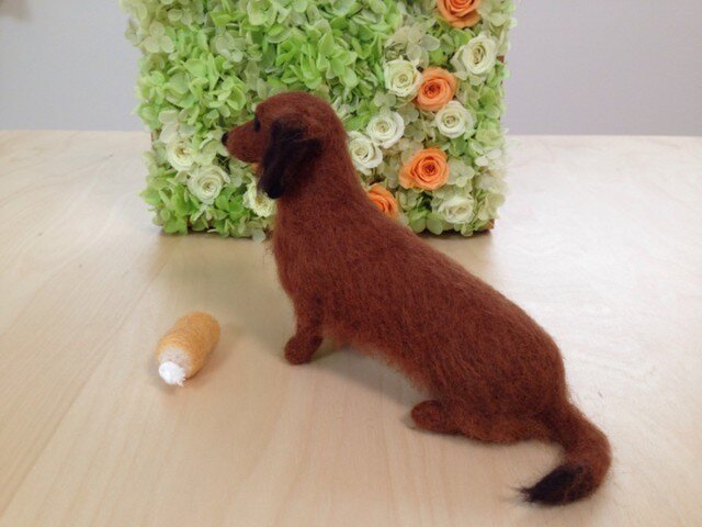W様ご依頼分＊ミニチュアダックスフント | iichi 日々の暮らしを