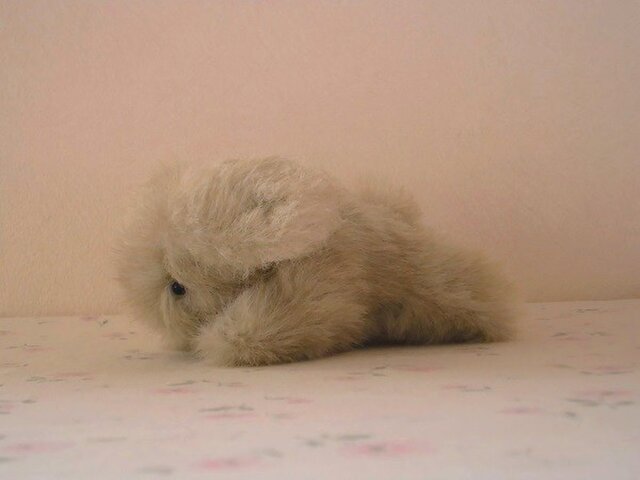 寄り添ううさぎ ベージュたれ耳うさぎ ハンドメイドぬいぐるみ 一点もの かわいいたれ耳うさぎ（ベージュ） | iichi 日々の暮らしを心地よく