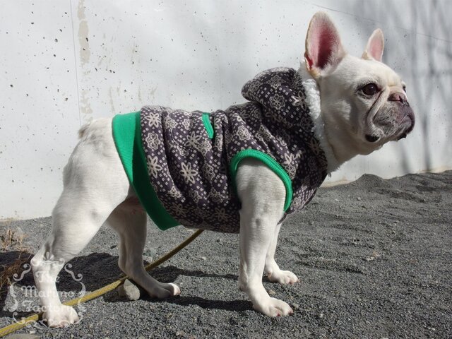 ★フレブル専★もこもこプードルボア裏付フーディベスト★の画像1枚目