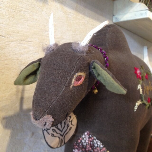 コビトコブウシ