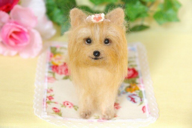 ヨーキー お座りポーズ | iichi 日々の暮らしを心地よくする