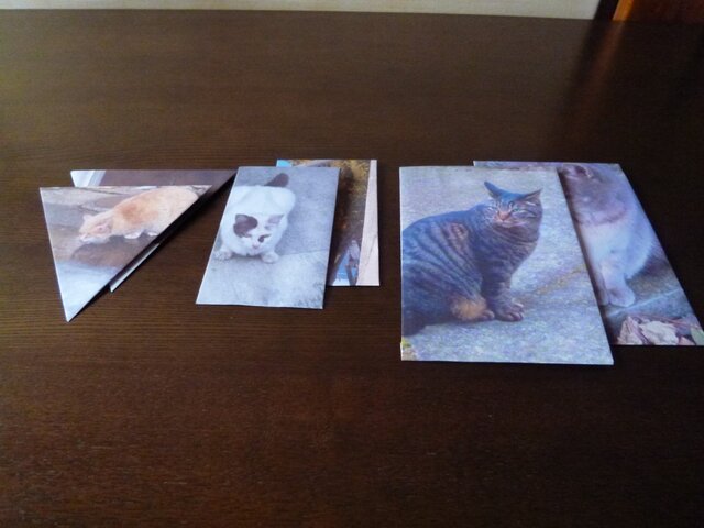 封筒6点~ねこ2~の画像1枚目