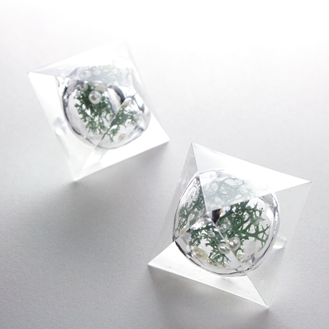 ピラミッドドームピアス(植物園B)